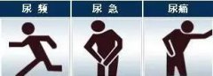 【健康】尿频、尿急？当心是尿路感染