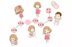 健康丨一张“女性妇科疾病地图”,告诉你什么时间容易生病